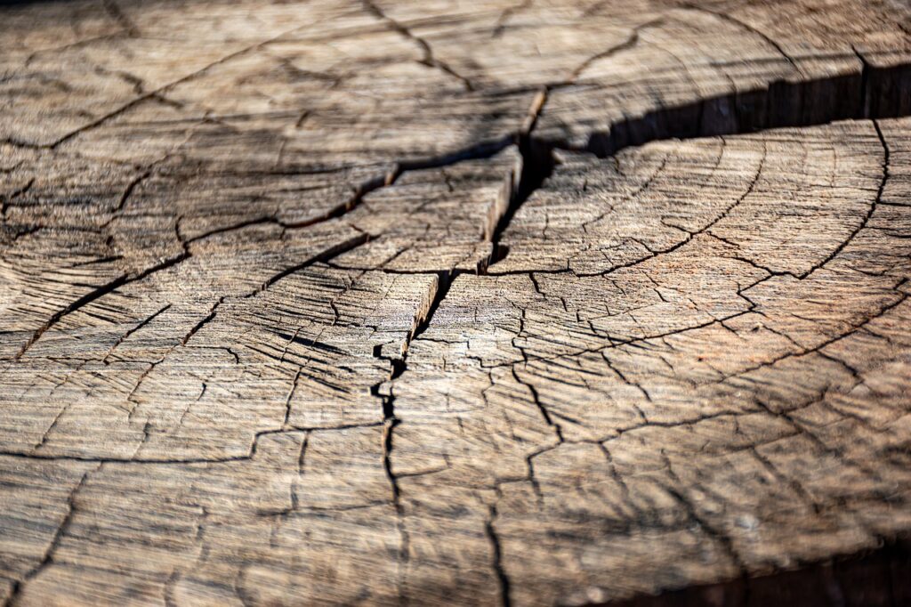 wood, dry wood, tree trunk-7402014.jpg